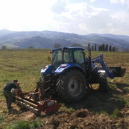 Agriturismo Lucatello Pratovecchio