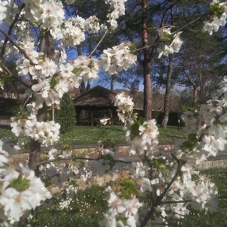 Agriturismo Lucatello * Pratovecchio