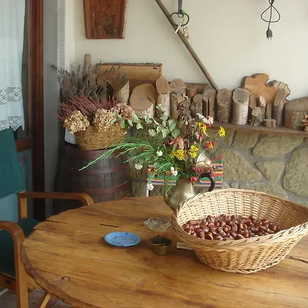 Agriturismo Lucatello Pratovecchio