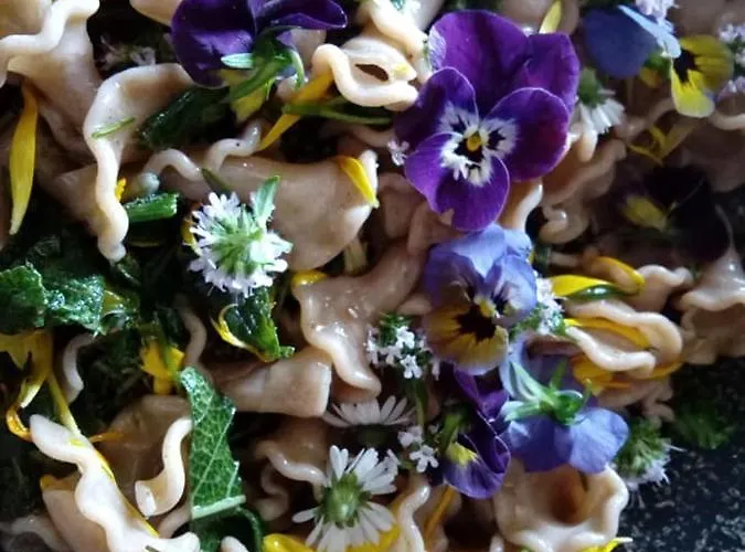 Agriturismo Lucatello Agroturismo