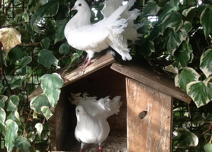 Agriturismo Lucatello